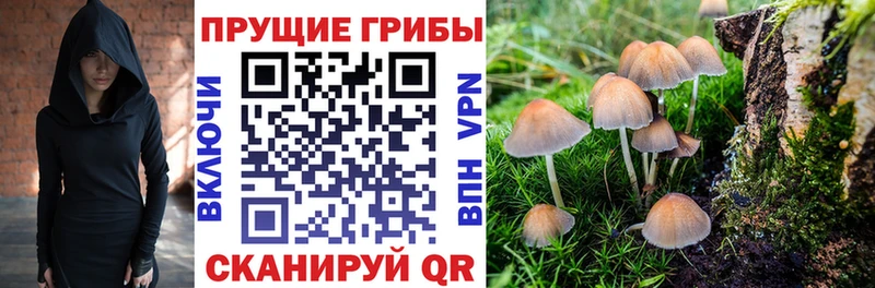 Псилоцибиновые грибы ЛСД  Кашира 
