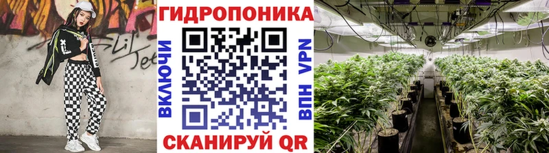 Марихуана сатива  Кашира 